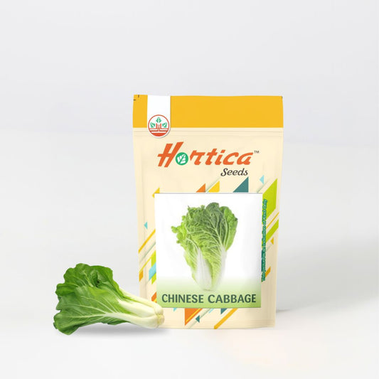 Chinese Cabbage