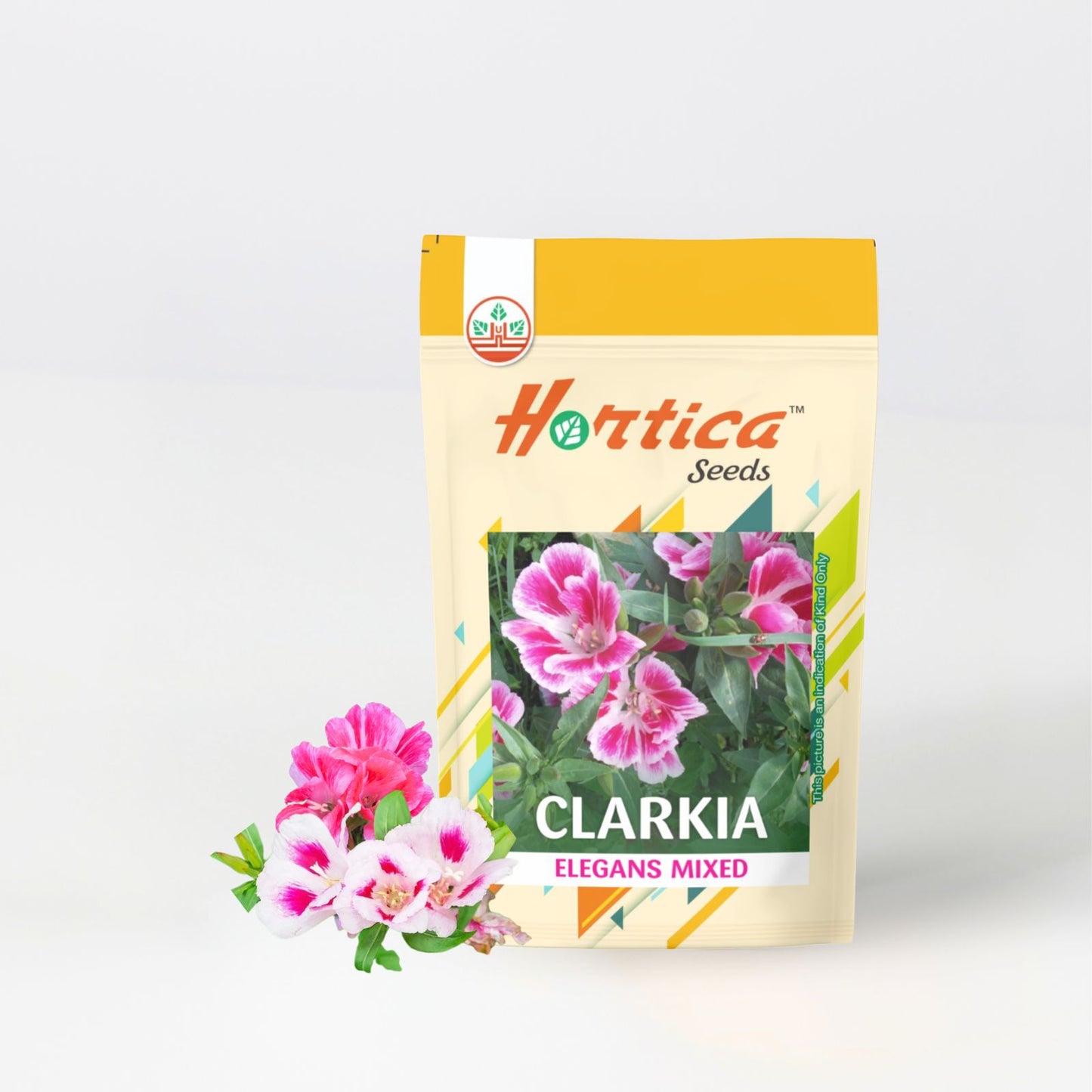 Clarkia Elegans Mixed