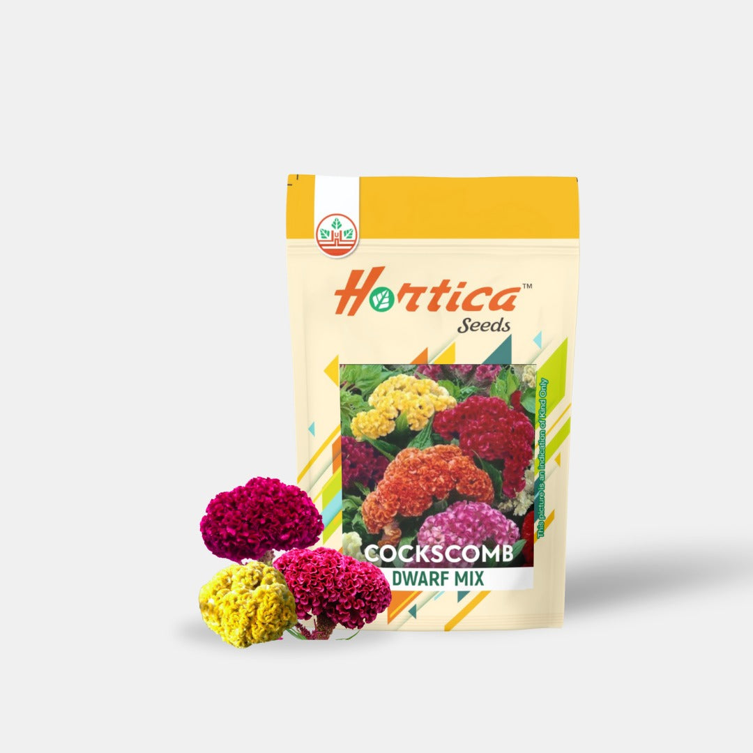 Cockscomb Dwarf Mix
