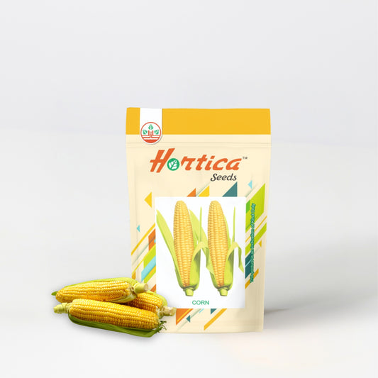 Corn