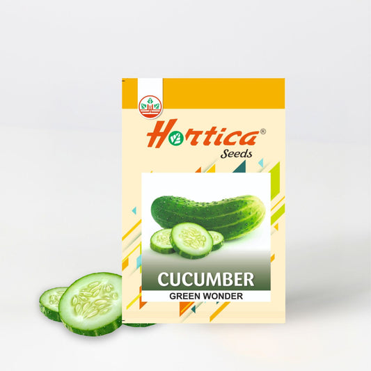 Cucumber