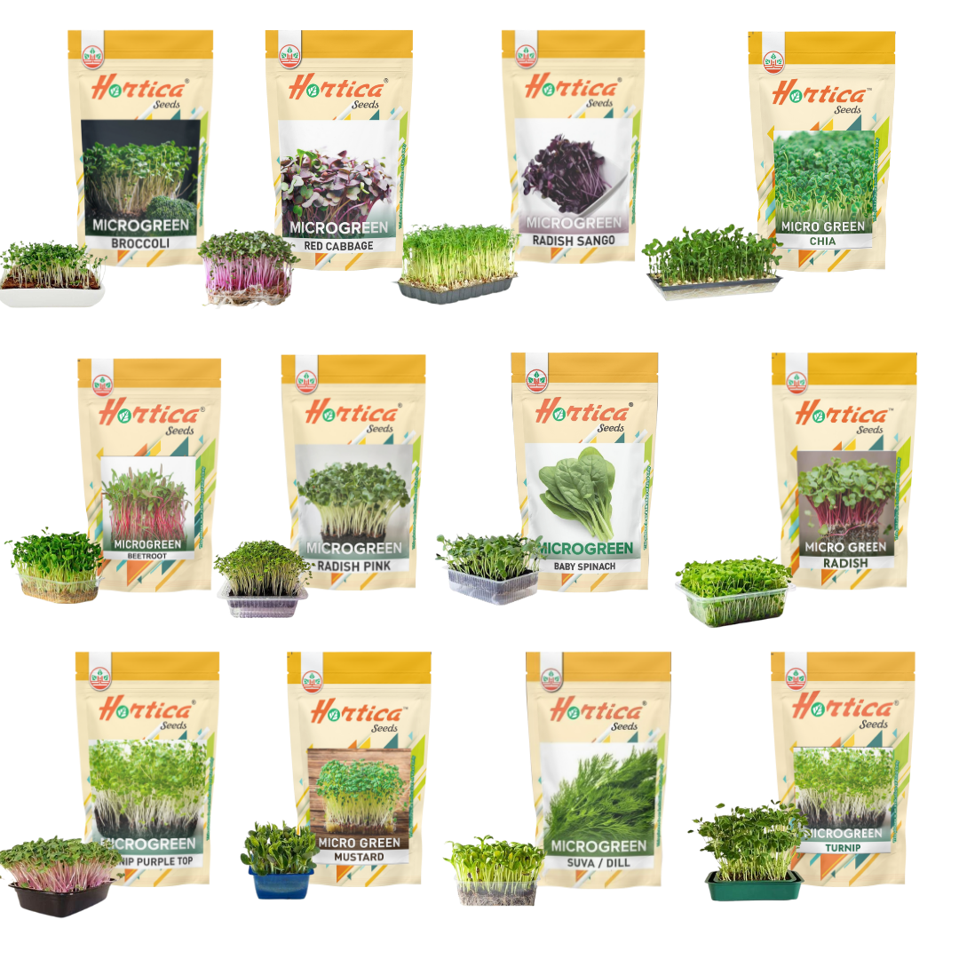 Microgreen Seeds | PREMIUM EXOTIC Varieties | Combo Pack of 12 Varieties - 25gm Each (300gm seeds)