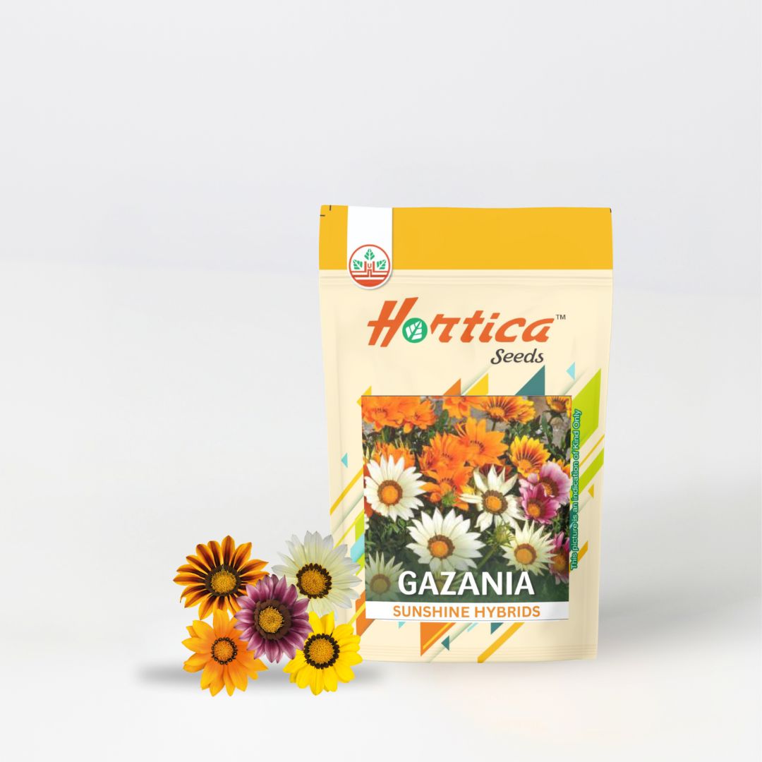 Gazania Sunshine Mixed