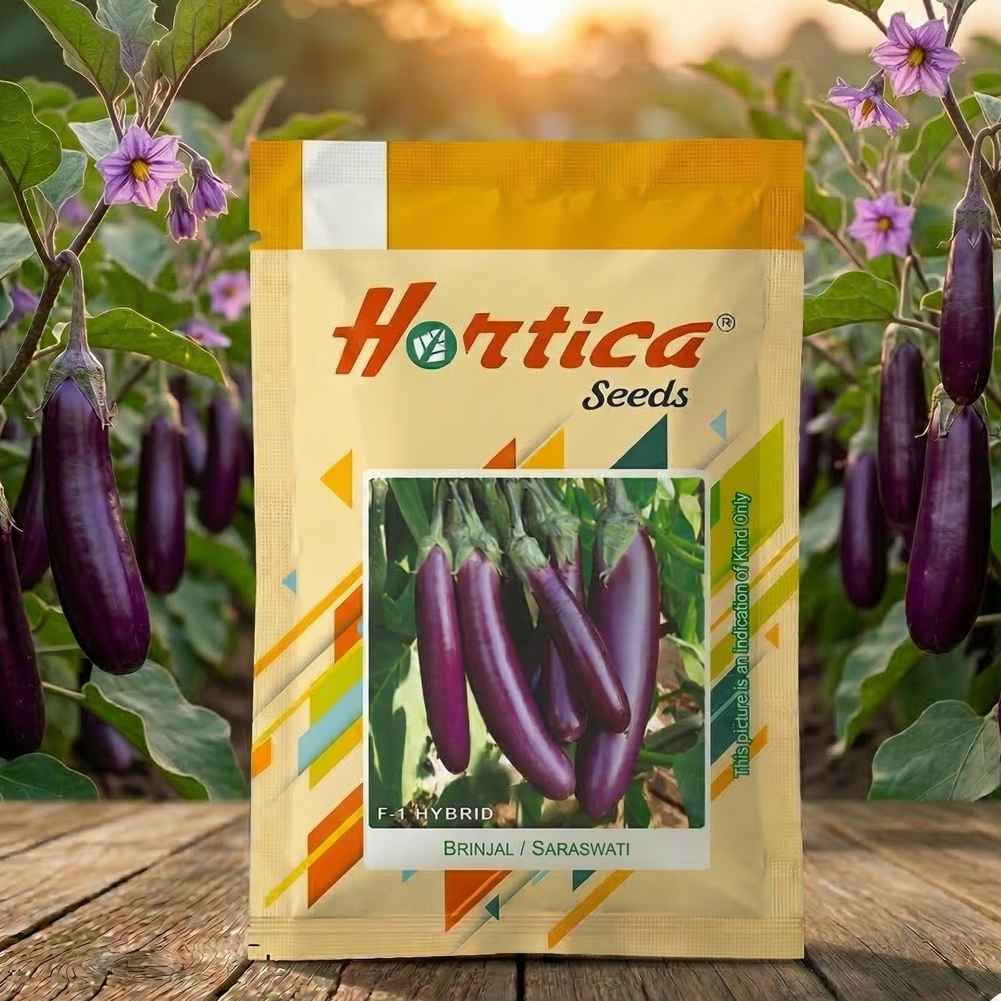 Brinjal Purple Long