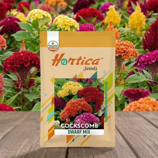 Cockscomb Dwarf Mix