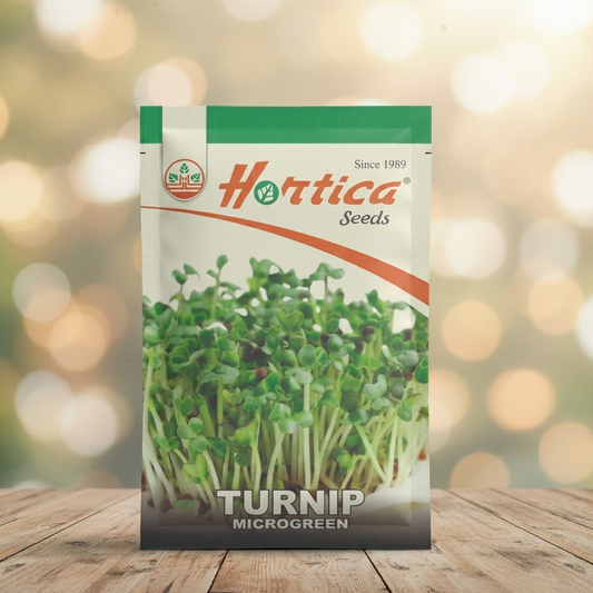 Turnip Microgreen Seeds