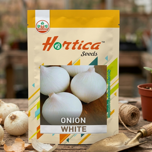 Onion White Seeds