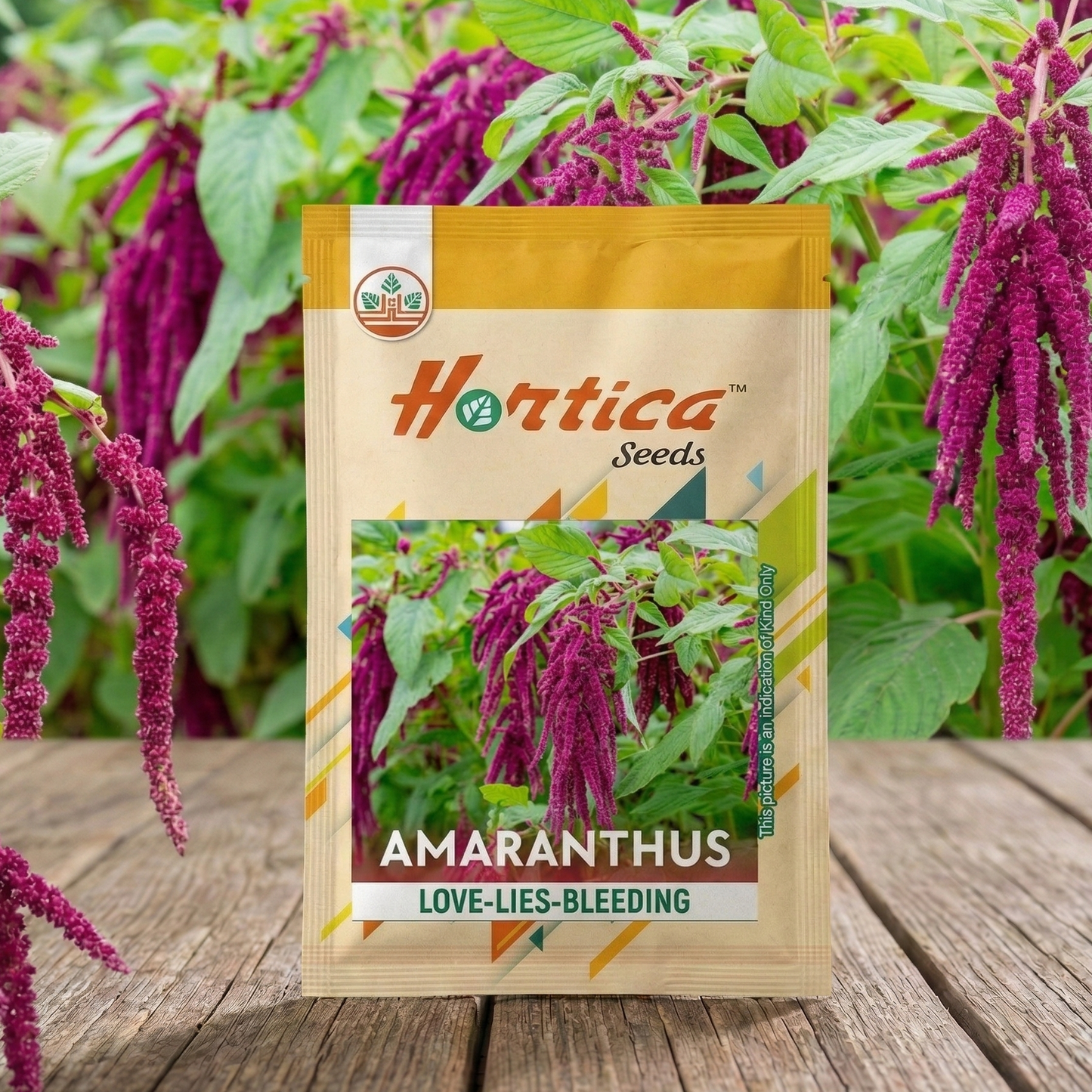 Amaranthus Love-Lies Bleeding