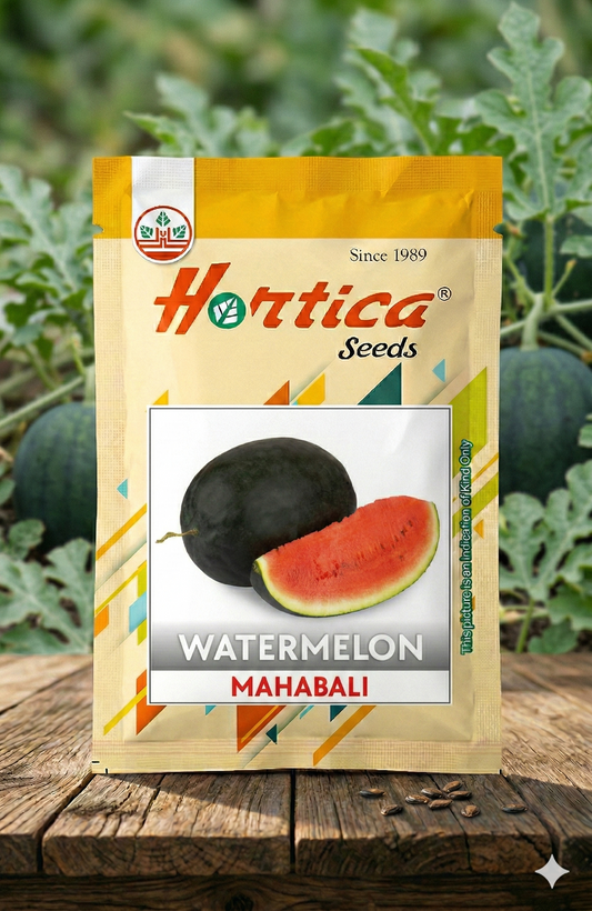 Watermelon Mahabali F1 Hybrid