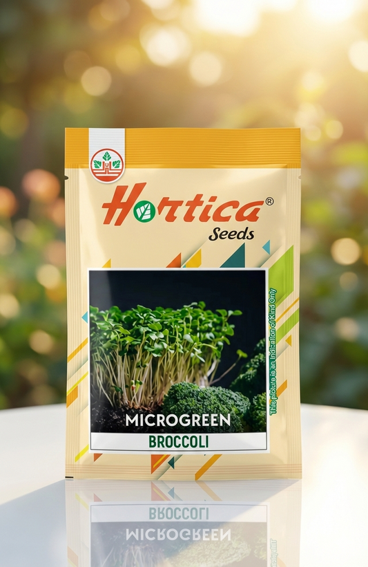 Microgreen Broccoli