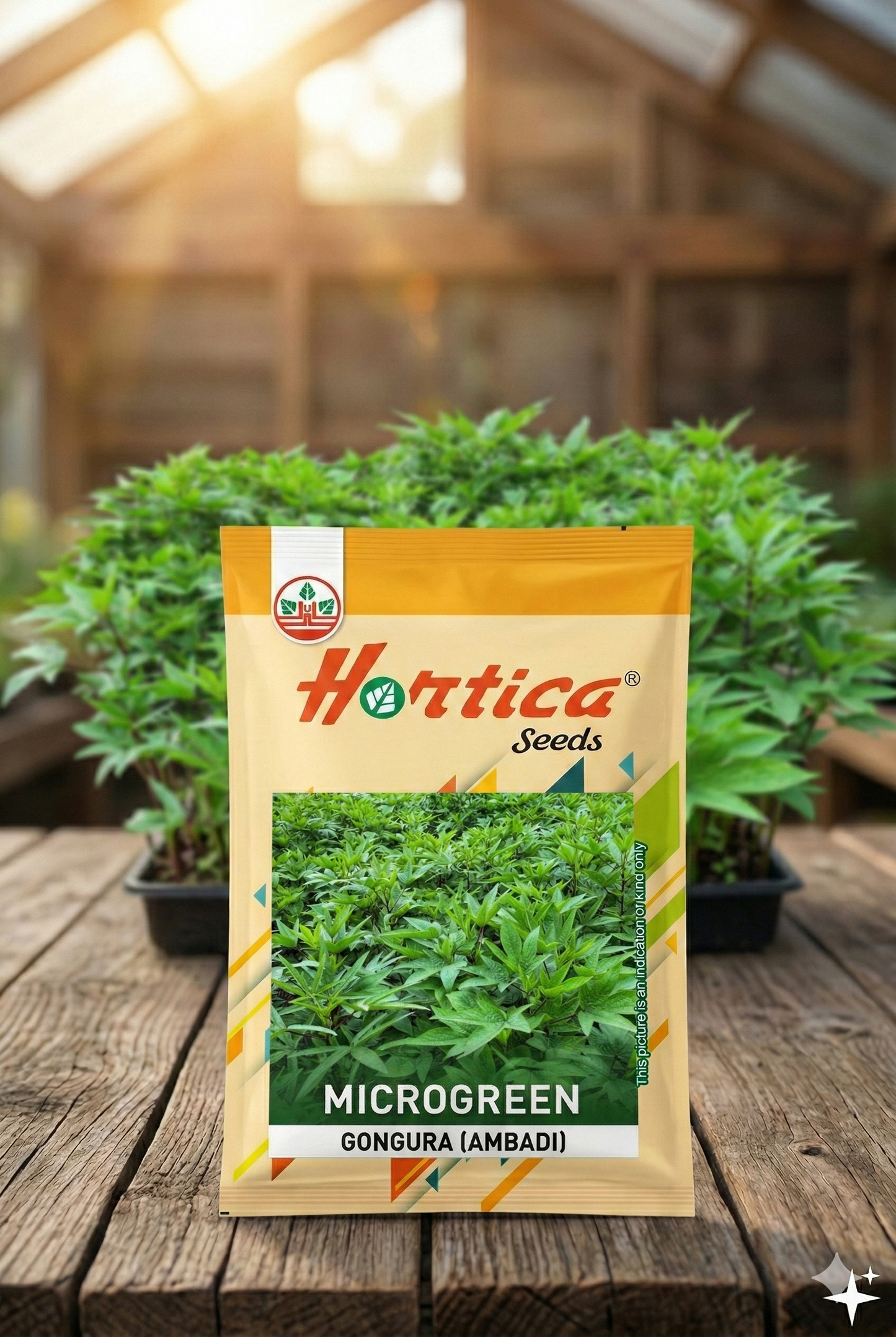 Microgreen Gongura (Ambadi)