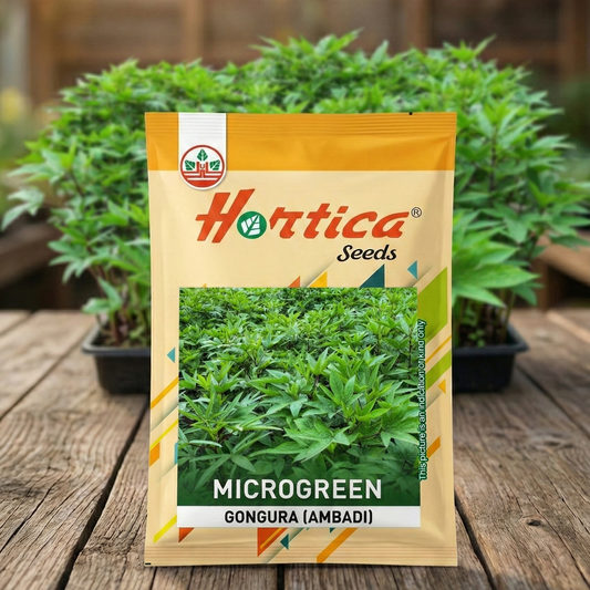 Gongura (Ambadi) Microgreen Seeds