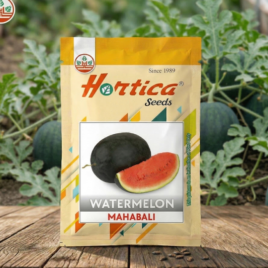 Watermelon Mahabali F1 Hybrid