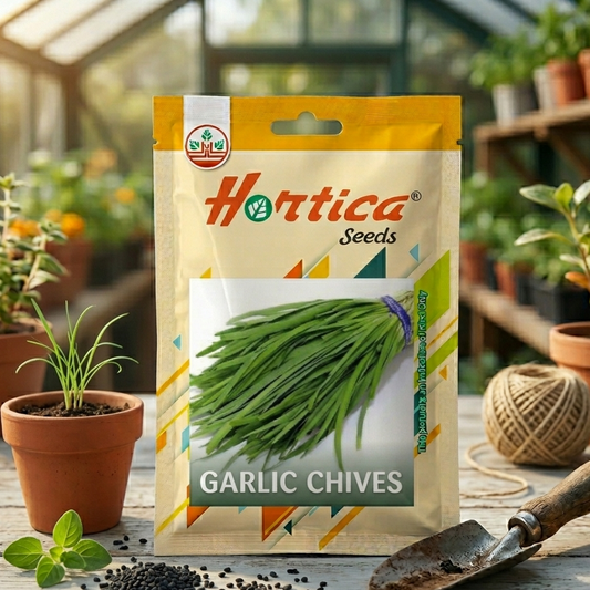 Chives Seeds