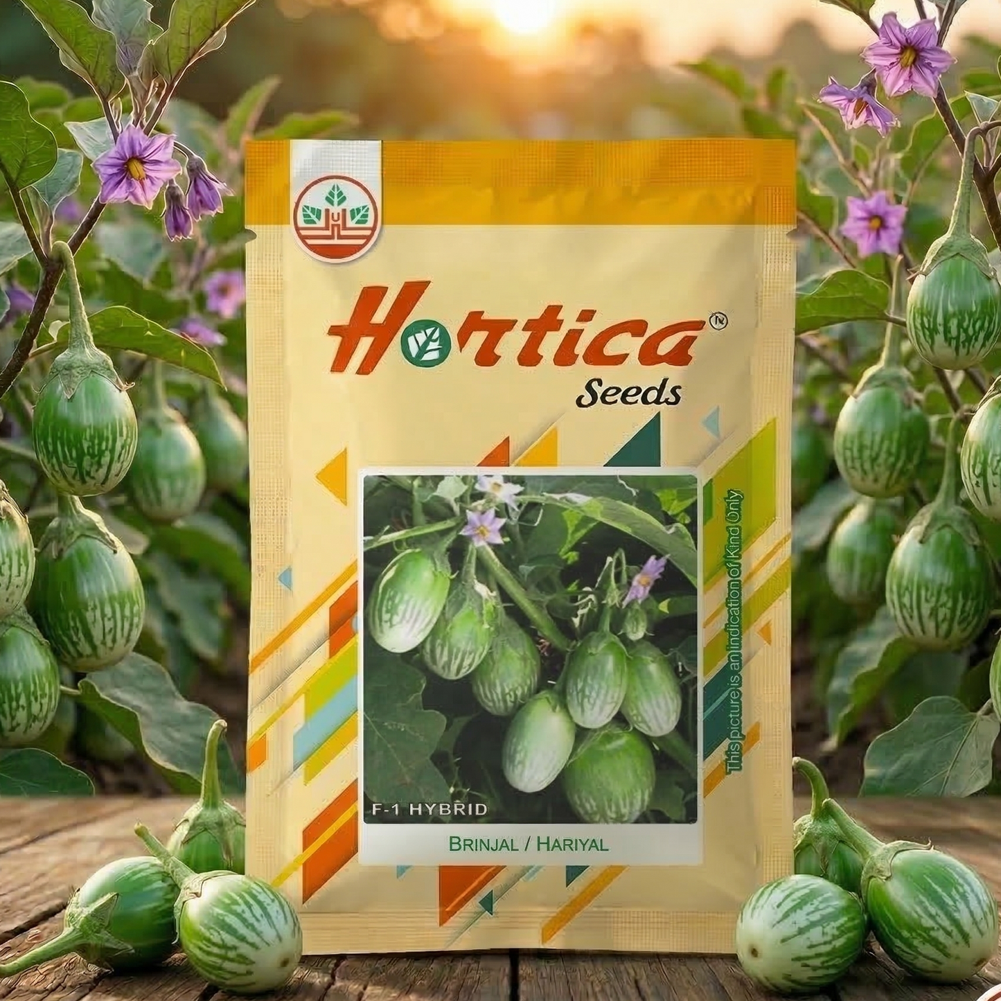 Brinjal Hariyal