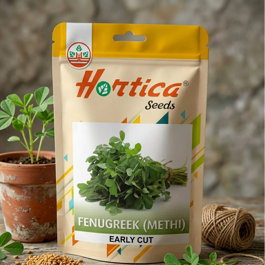 microgreen Fenugreek (Methi)