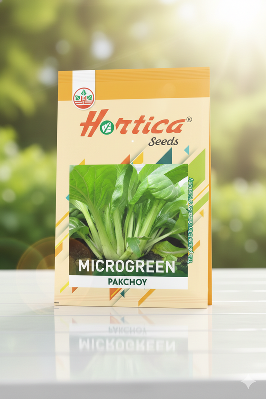 Microgreen Pakchoy