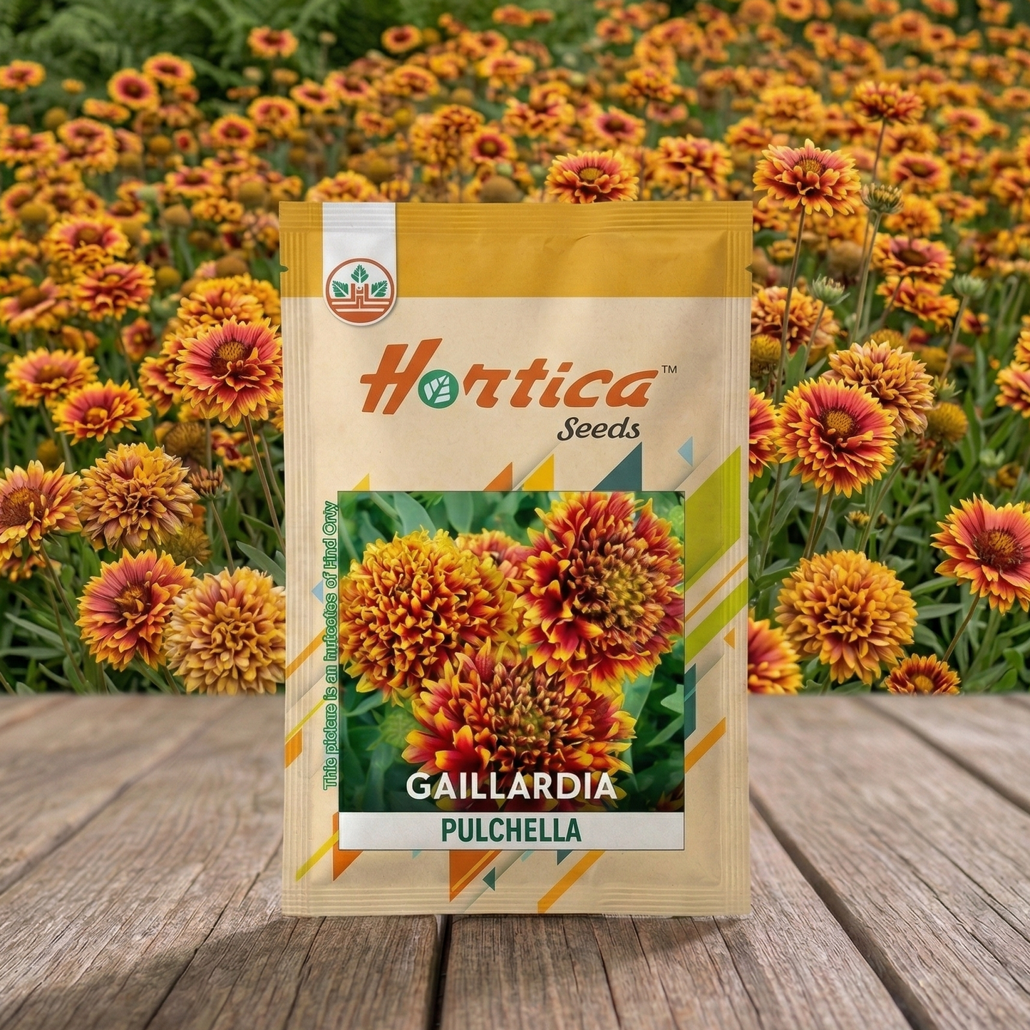 Gaillardia Pulchella Double Mix