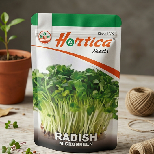 Radish Microgreen Seeds
