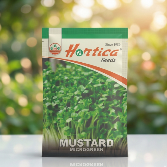 Mustard Microgreen Seeds