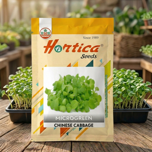 Chinese Cabbage Microgreen Seeds