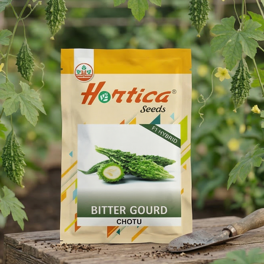 Bitter Gourd Chotu