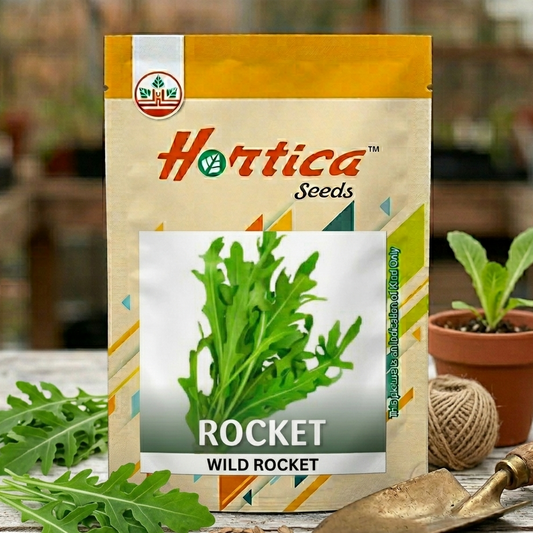 Rocket (Arugula) Seeds