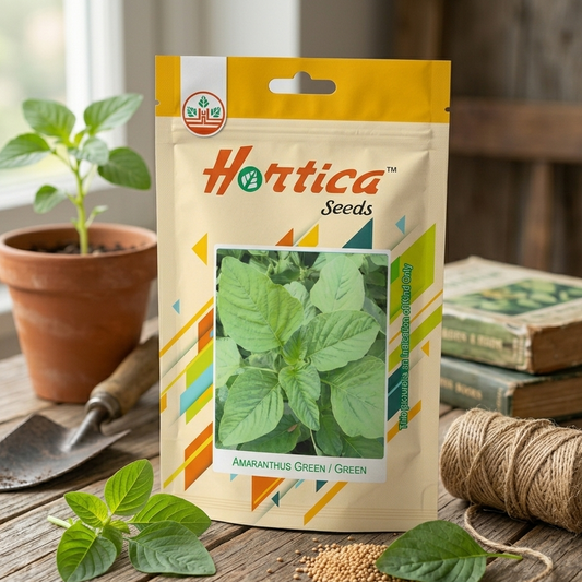 Amaranthus Green