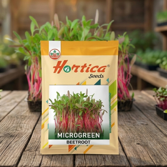 Beetroot Microgreen Seeds