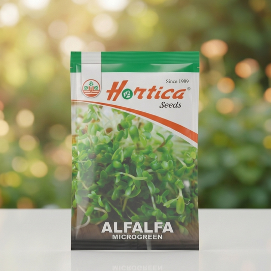 Alfalfa Microgreen Seeds