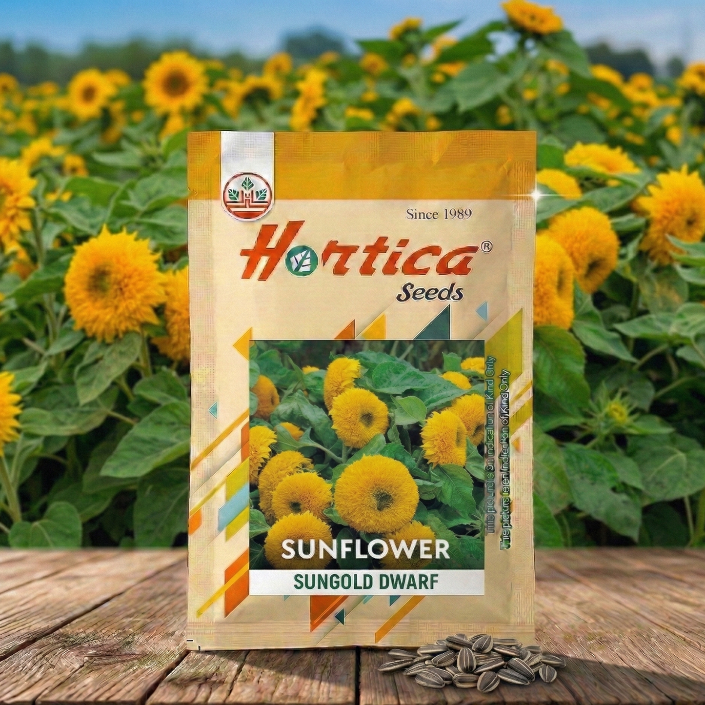 Sunflower Sungold