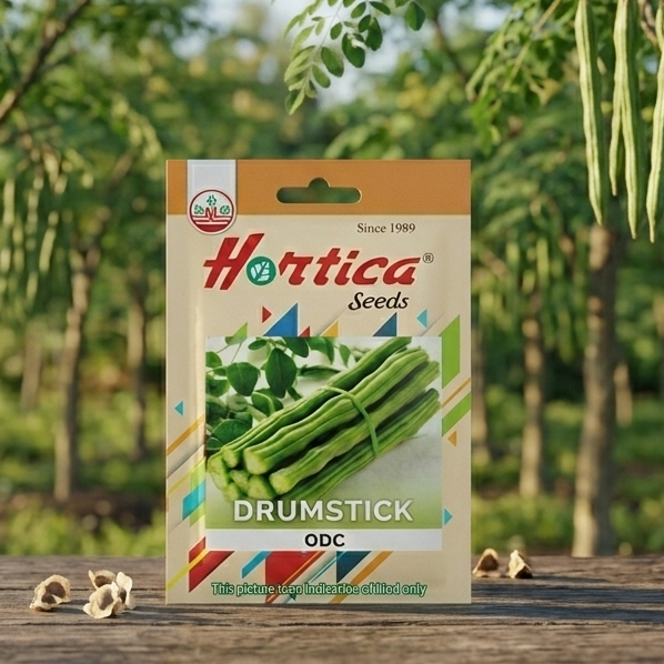 Drumstick