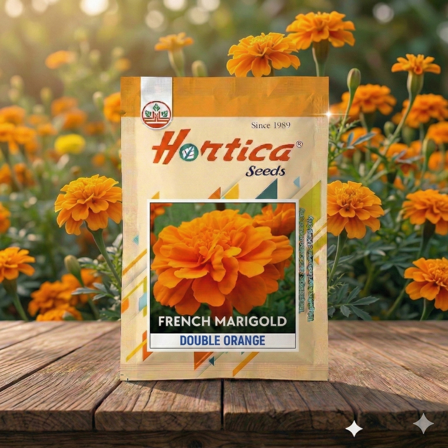 French Marigold Double Orange