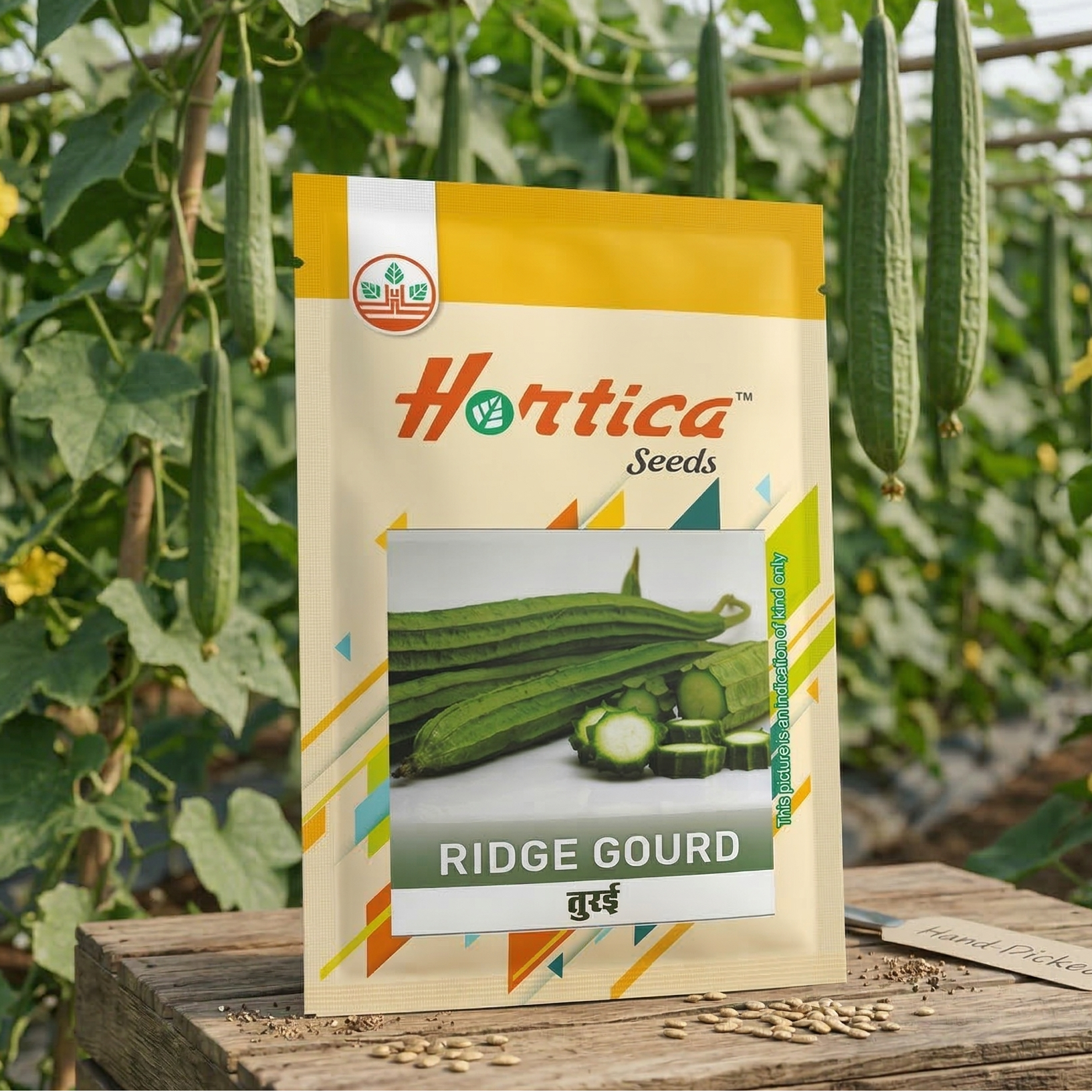 Ridge Gourd – Hortica - One Stop Garden Shop