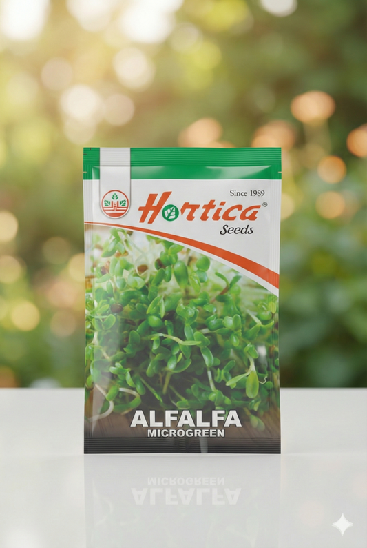 Microgreen Alfalfa