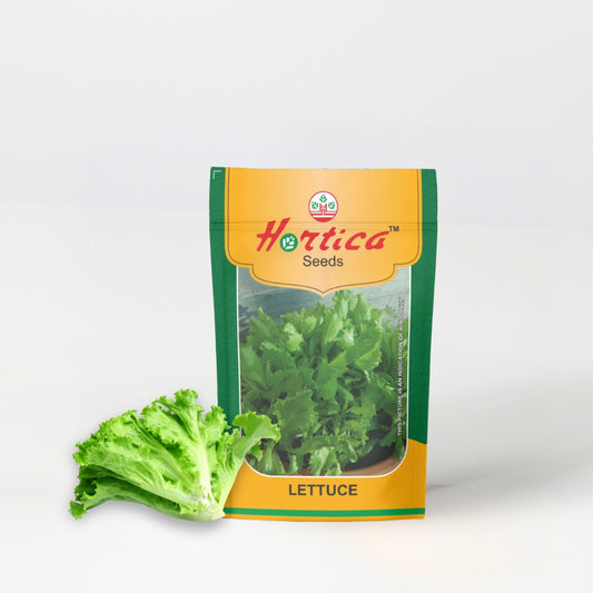 Lettuce Bingo