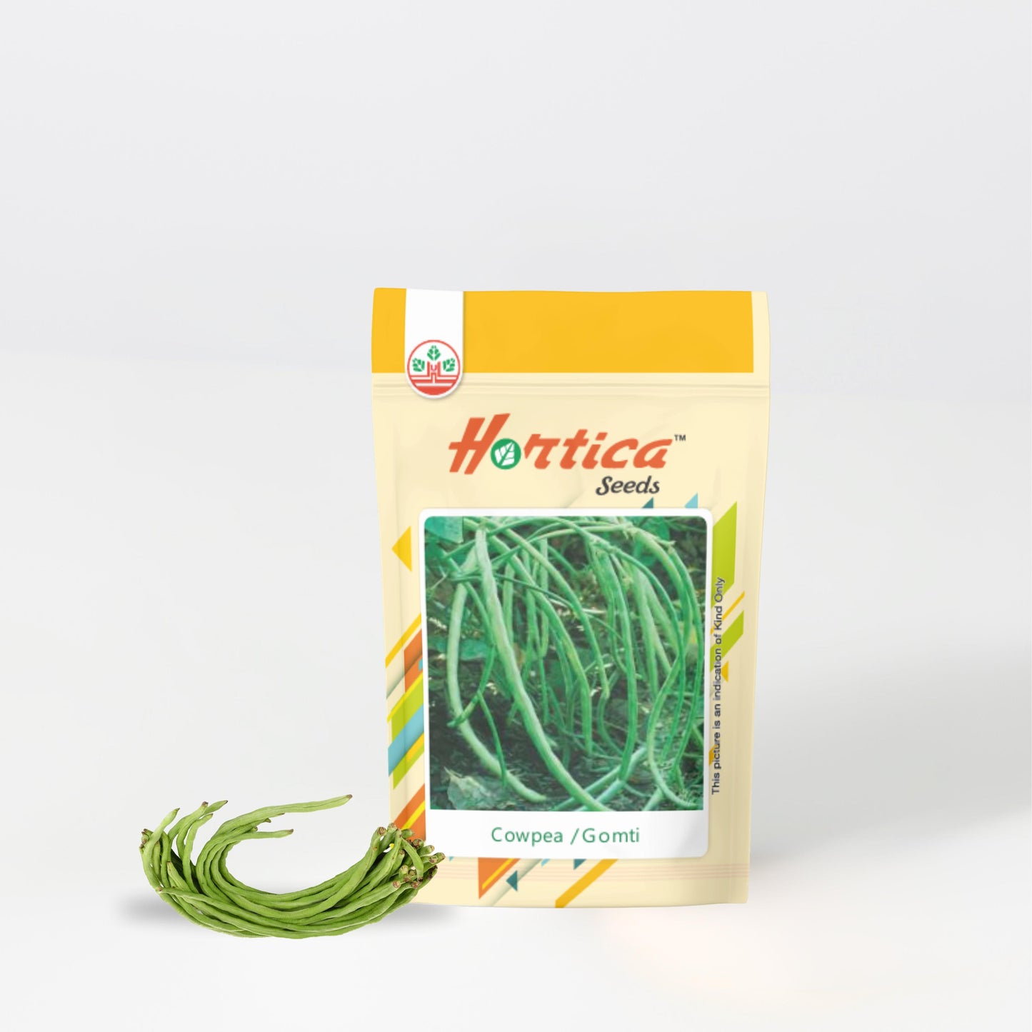 Cowpea / Lobia Beans