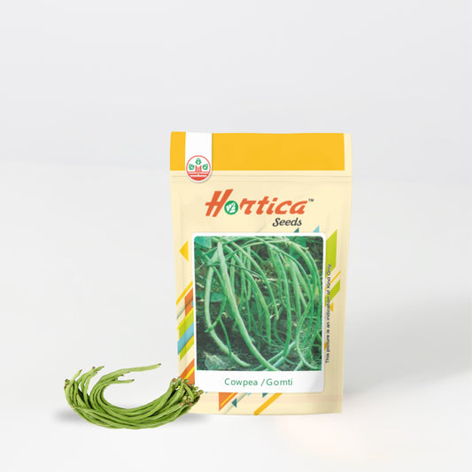 Cowpea / Lobia Beans