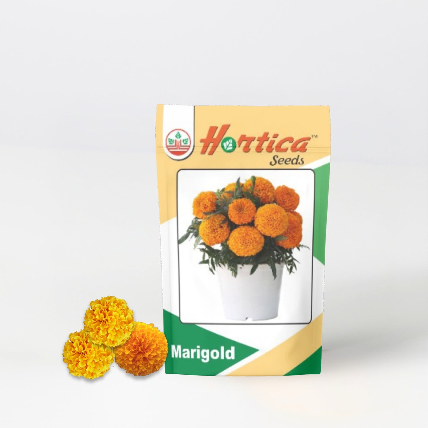 African Marigold