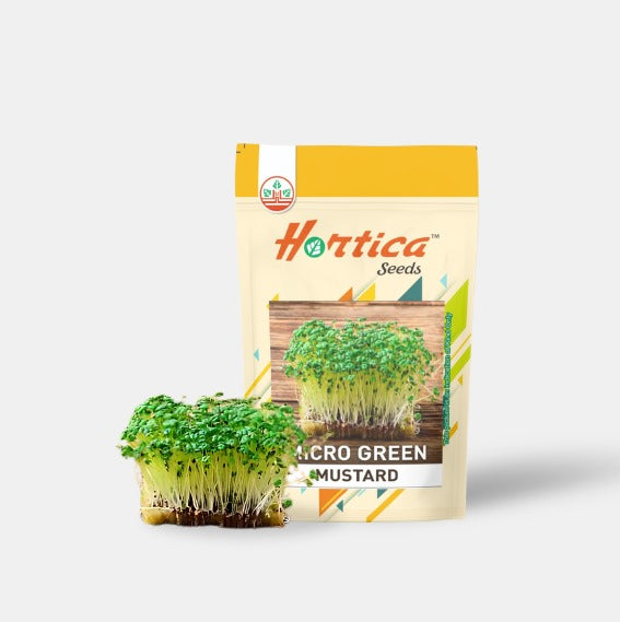 Microgreen Mustard