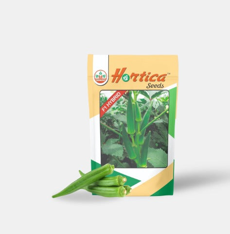 Okra