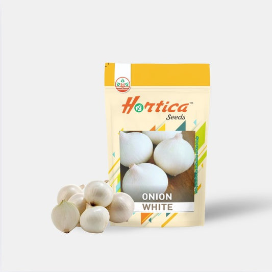 Onion White