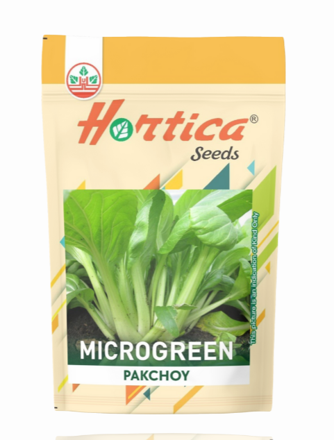 Microgreen Pakchoy
