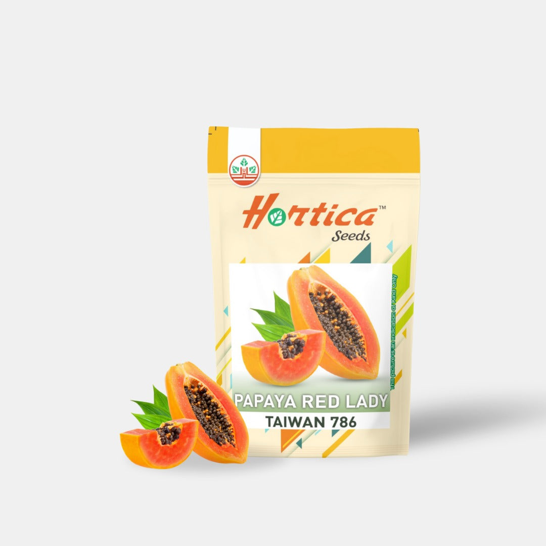 Papaya Red Lady Taiwan 786