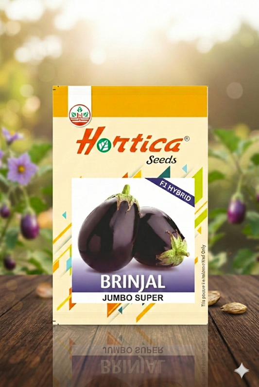 Brinjal Jumbo Super