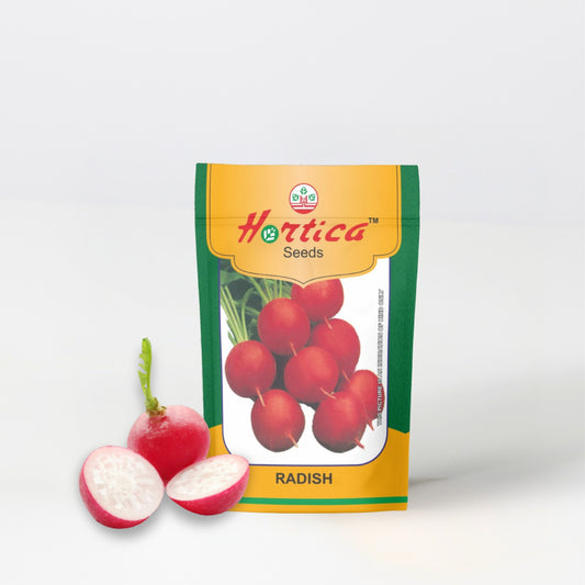 Radish Red Round