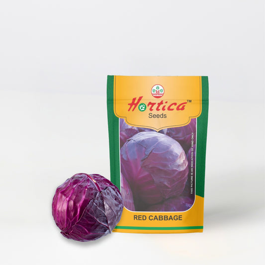 Red Cabbage