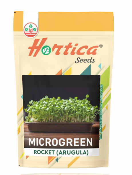 Microgreen Rocket (Arugula)