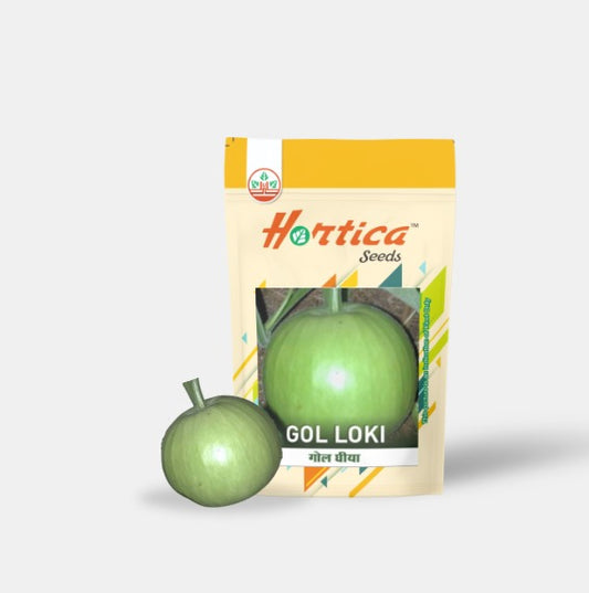 Round Bottle Gourd (Gol Lauki)