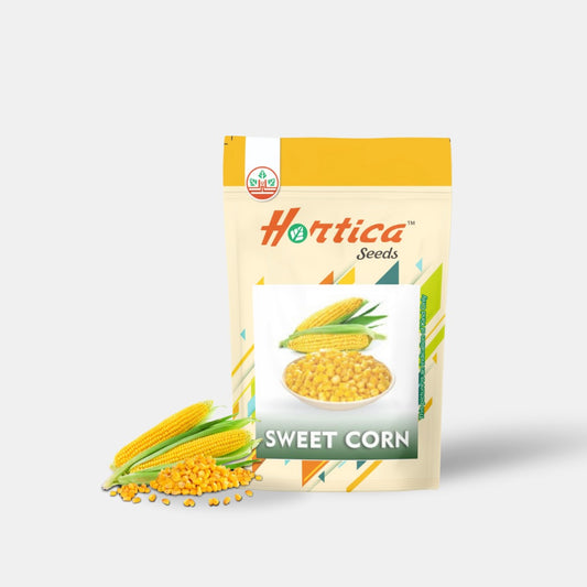 Sweet Corn